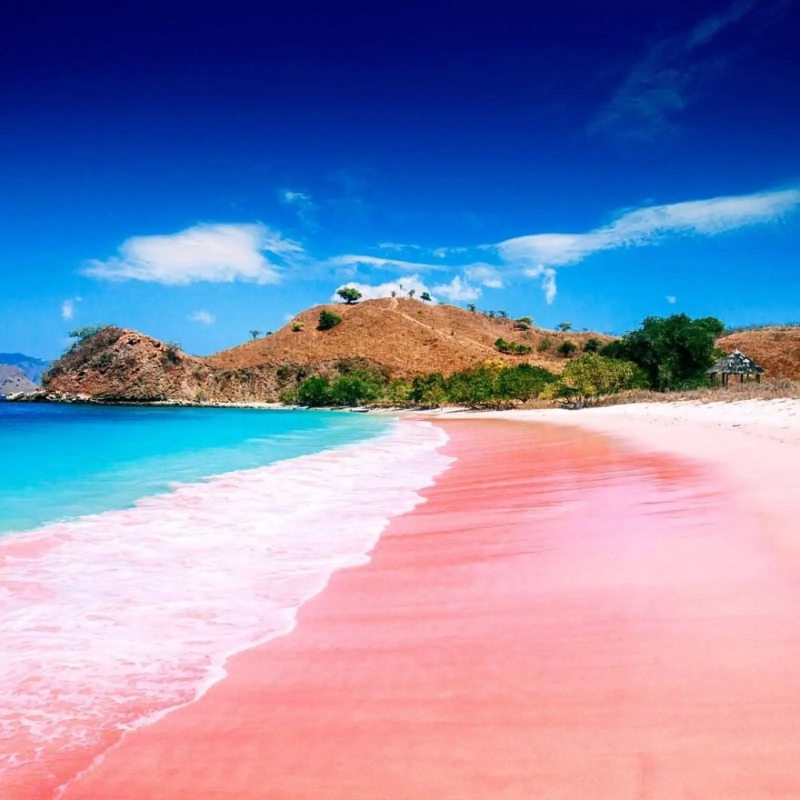 Elrora 航线上的Pink Beach