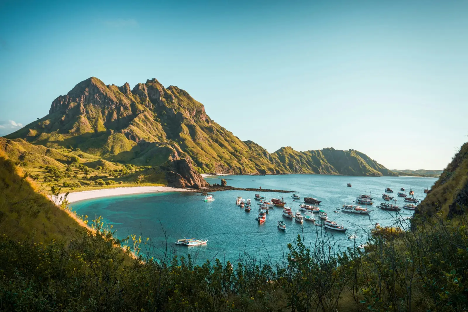 One Day Trip Komodo — 一天玩遍科莫多精华——帕达尔岛观景台、粉红沙滩与蝠鲼，傍晚即可回到拉布安巴焦。